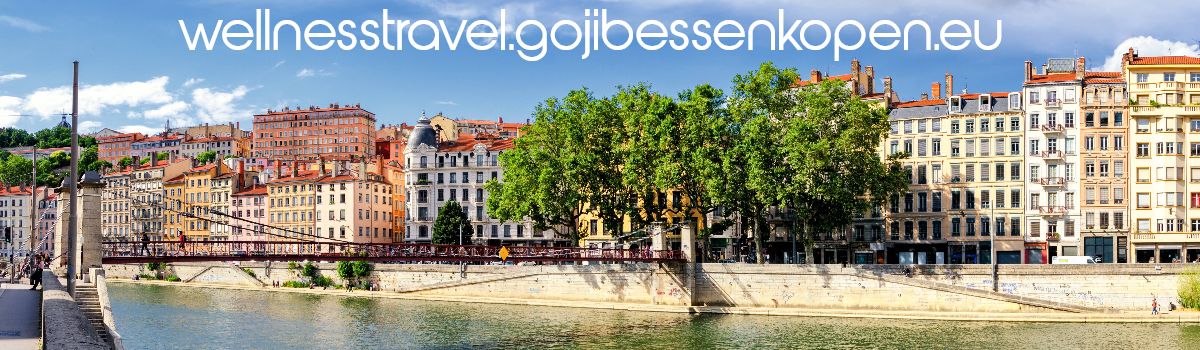 wellnesstravel.gojibessenkopen.eu